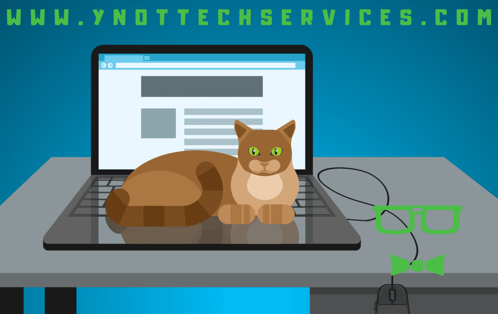 How to Avoid Pets Damaging Your Computers - Lethbridge, AB Computer Help | Y-Not Tech Services
